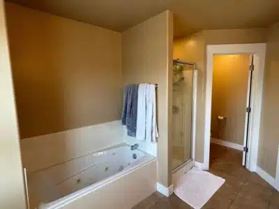 tub to shower master bathroom remodel before picture.